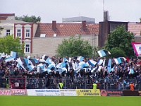 Pauli vs HSV2 05-06 014